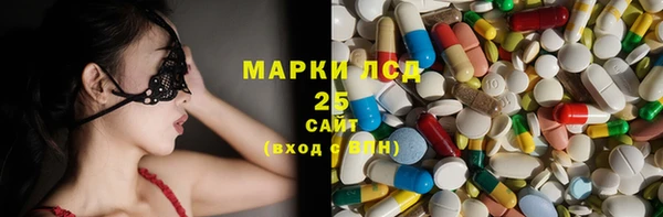 прущие грибы Баксан
