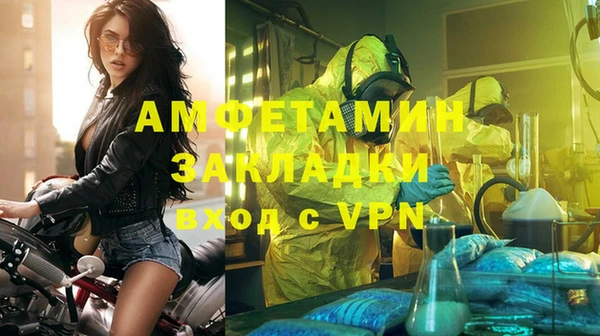 прущие грибы Баксан
