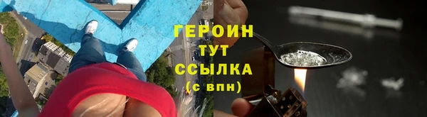 прущие грибы Баксан
