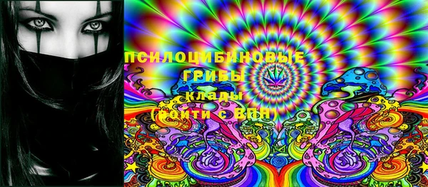 прущие грибы Баксан