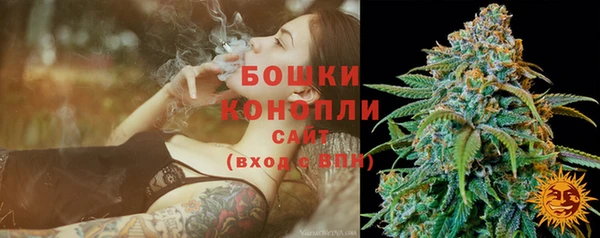трава Балахна